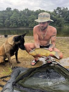 Tench
