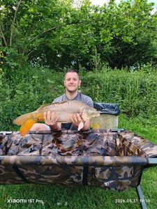 Mirror Carp