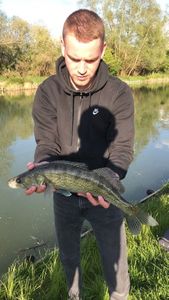 Zander