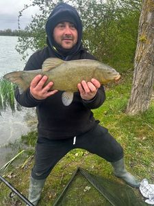 Tench