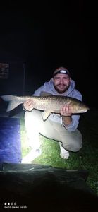 Grass Carp