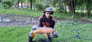 Mirror Carp