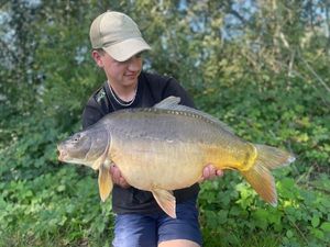 Mirror Carp