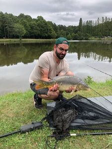 Mirror Carp