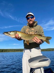 Northern Pike