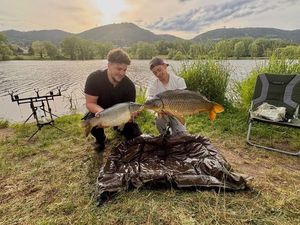 Common Carp
