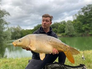 Mirror Carp