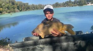 Mirror Carp