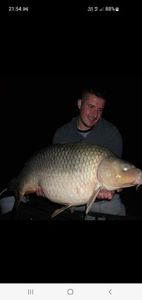 Common Carp