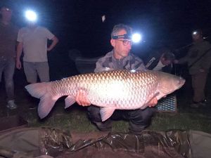 Grass Carp