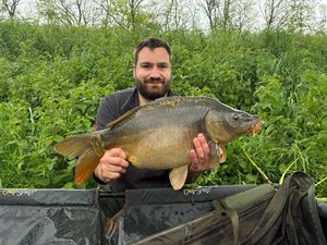 Mirror Carp