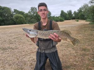 Northern Pike