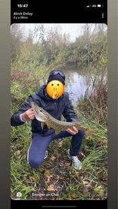 Northern Pike