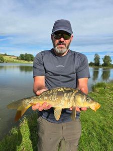 Mirror Carp