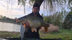 Common Carp