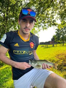 Largemouth Bass