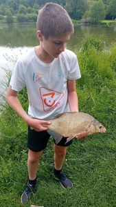 Common Bream