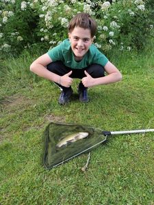 Tench