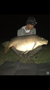Mirror Carp