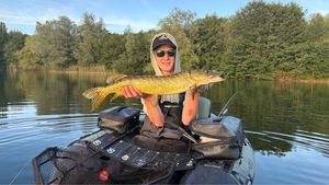 Northern Pike