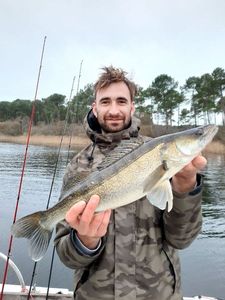 Zander