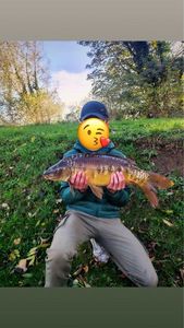 Mirror Carp