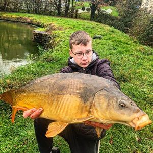 Mirror Carp