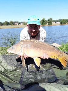 Mirror Carp