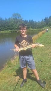 Sturgeon
