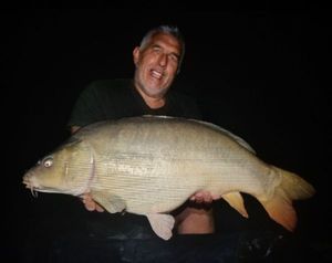 Mirror Carp
