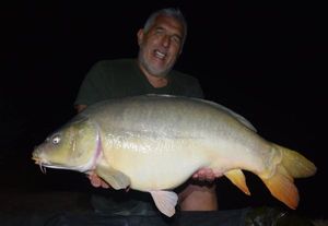 Mirror Carp