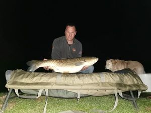 Grass Carp