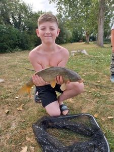 Common Carp