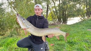 Northern Pike