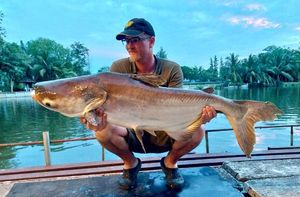 Mekong Giant Catfish