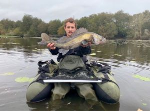 Zander