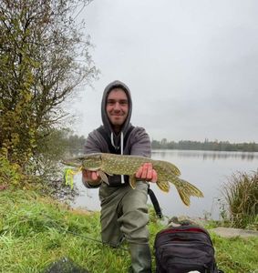 Northern Pike