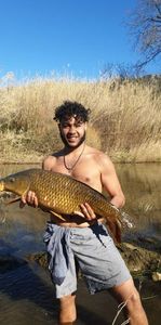 Common Carp
