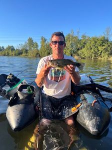 Largemouth Bass