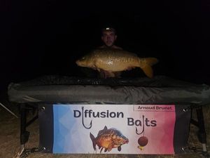 Mirror Carp