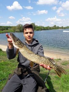 Northern Pike