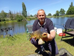 Mirror Carp