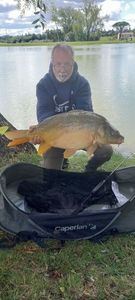 Mirror Carp