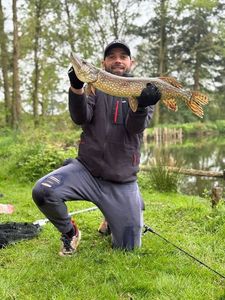Northern Pike