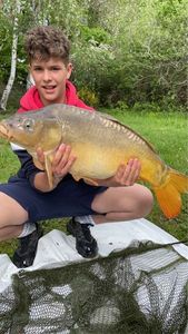 Mirror Carp