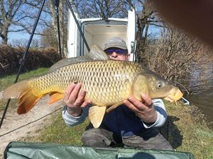 Common Carp caught by Didier Carro