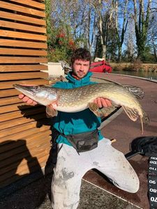 Northern Pike