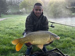 Common Carp