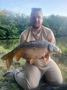 Mirror Carp