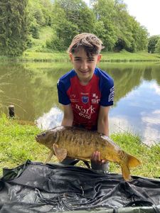 Mirror Carp